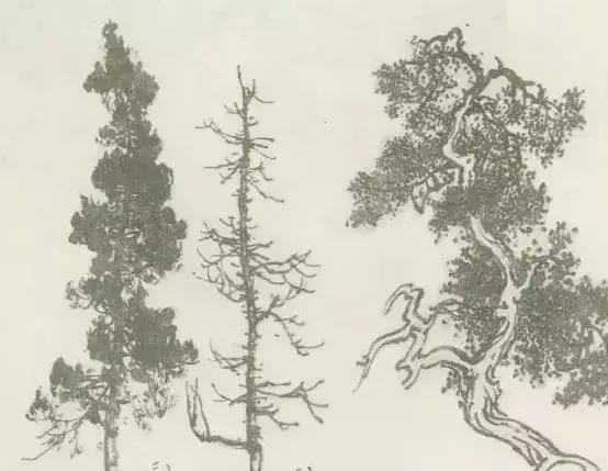 树怎么画简单又好看，如何画树简单又漂亮（水彩唯美风景画，手把手教你画）