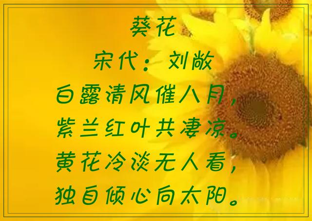 傲阳的诗句大全，倾阳丹心独自在