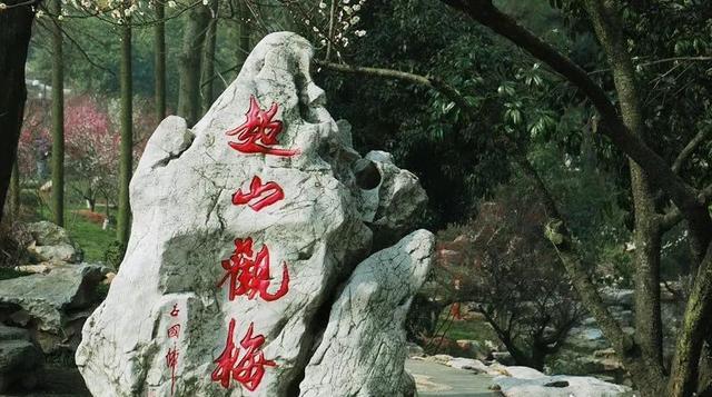 杭州余杭区未来十年房价走势，杭州未来5年内最值得投资房产的板块