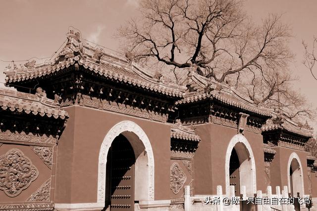 北海公园景点介绍，北海公园旅游攻略（北京周末去哪儿——北海公园）