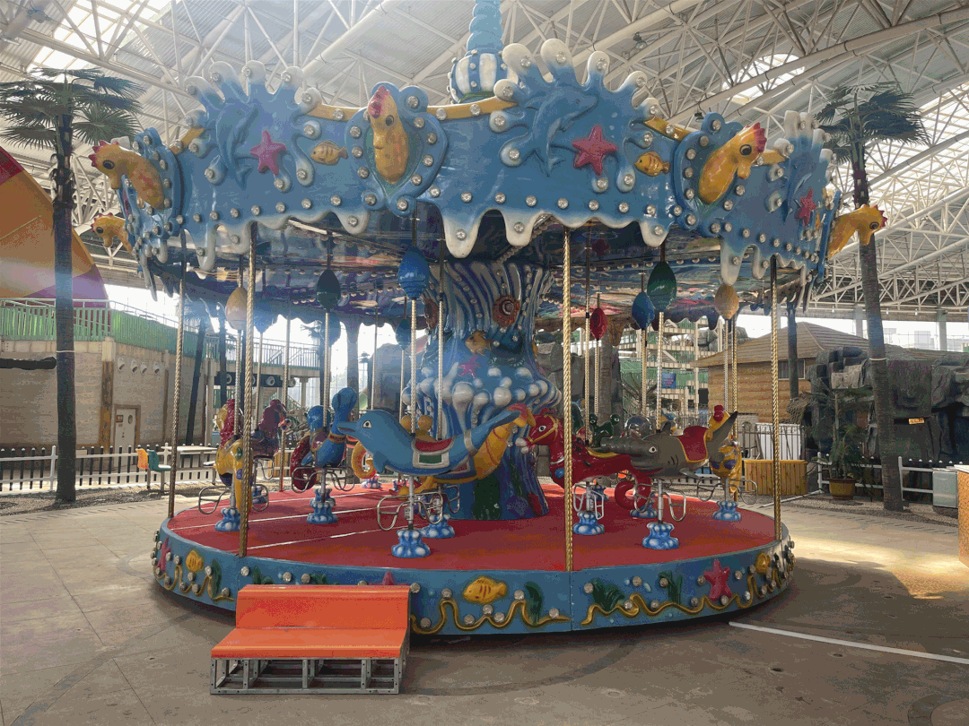 四季恒温水乐园赏花，6月26日盛大开园嗨翻这个夏日