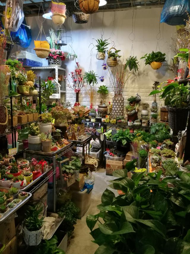 无经验如何开花店，新手开花店丨哪些地方适合开花店
