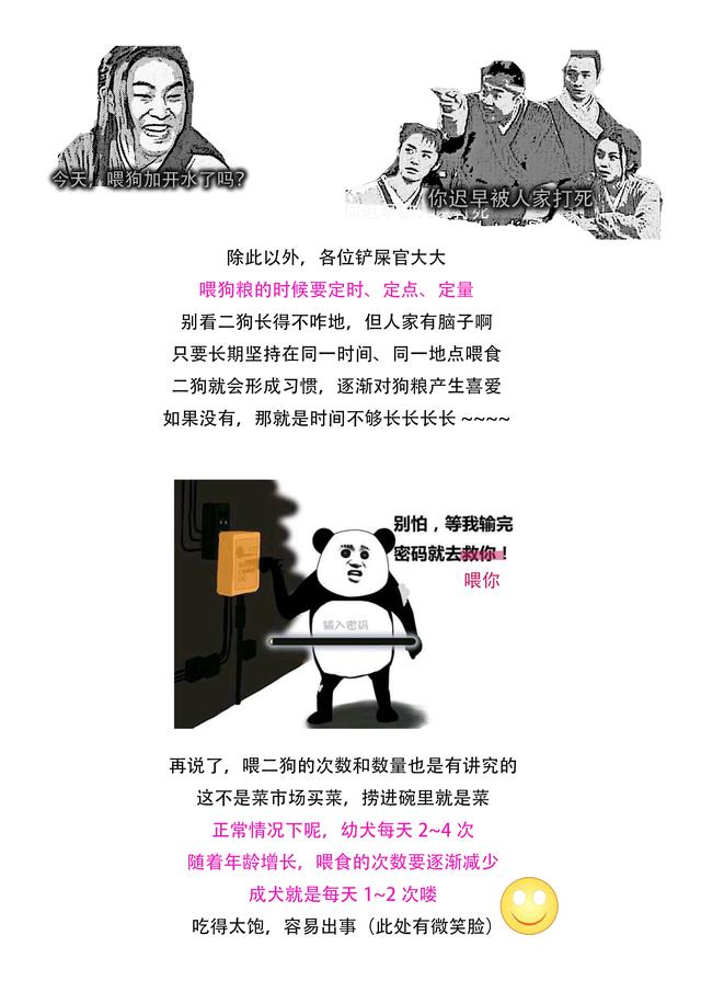 狗粮要怎么喂才好，3分钟让你知道狗粮的正确喂法