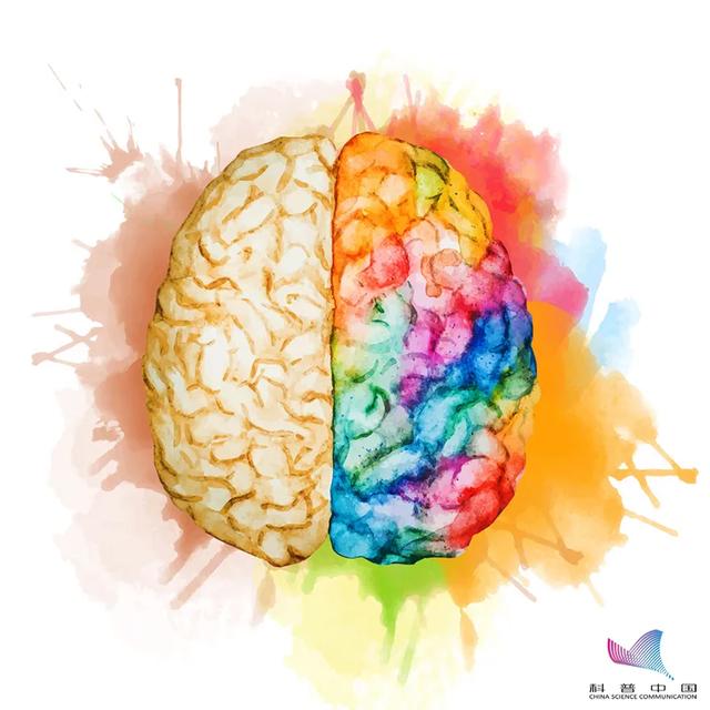 左撇子更聪明的说法正确吗，左撇子更聪明的说法正确的吗