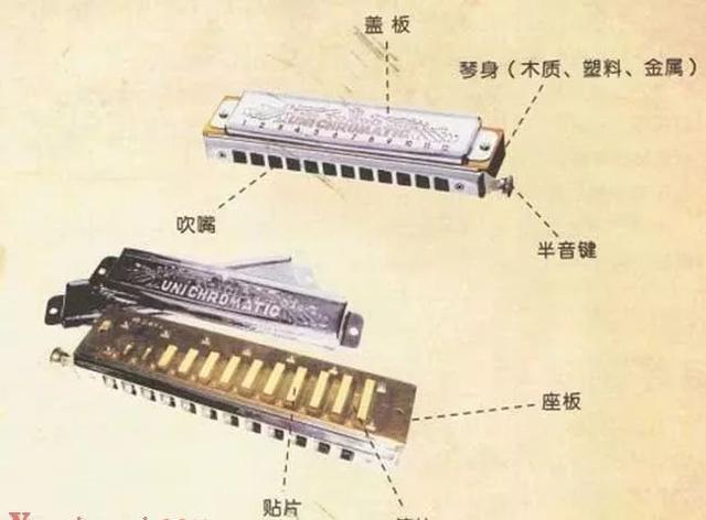 半音阶口琴音阶图，半音阶口琴入门教程（口琴的音阶和拿法）