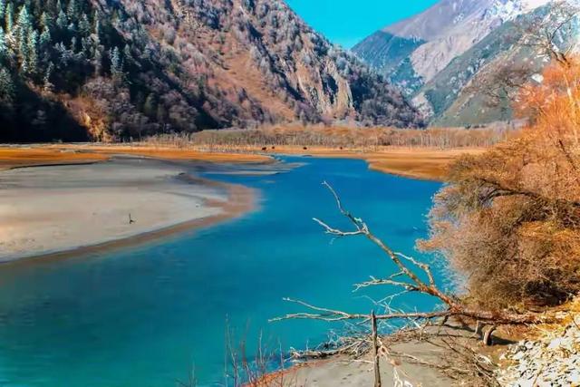 道德经悟道技巧，树袋熊大话助读《道德经》第十六章