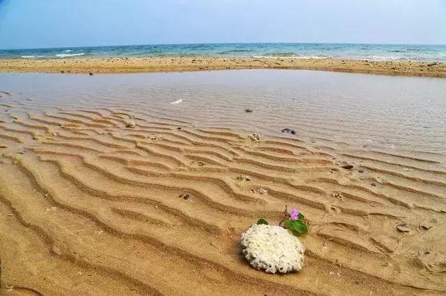 涠洲岛小假期游玩攻略，广西最大海岛和最年轻火山岛