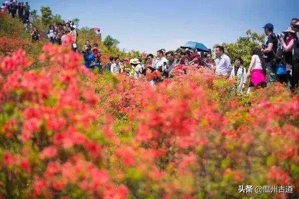 瑞安附近景点一日游好去处，温州十大避暑旅游景点