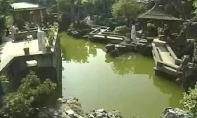 今年最狠华语剧，最新良心剧（2023年首部国产猛剧诞生）