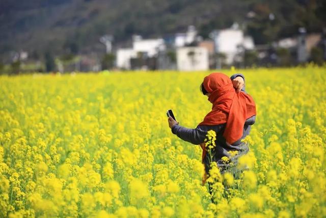 适合12月份去的旅行地，2月绝美旅行地推荐