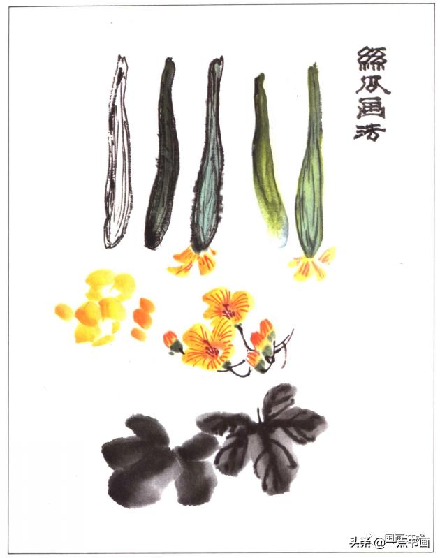 写意蔬果番茄的画法，写意蔬果画法步骤示范