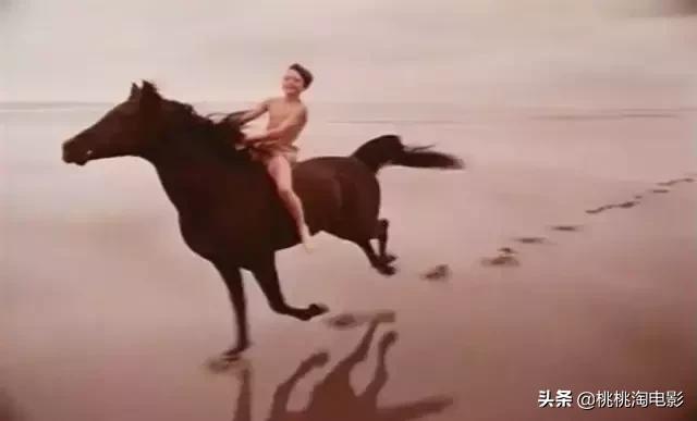 最值得看的电影，100部最值得看的电影名单（16部补充心灵能量的高分电影）