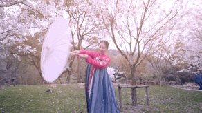 拈花湾攻略必去景点，1600亩拈花湾樱花海