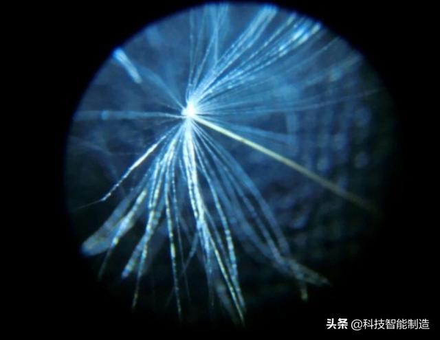 儿童科学探索显微镜，启发孩子科学探索思维