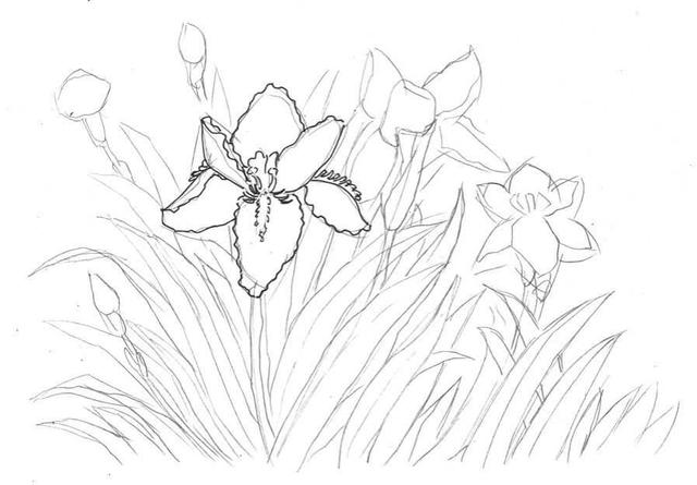 钢笔画入门基本步骤，钢笔画入门步骤详解