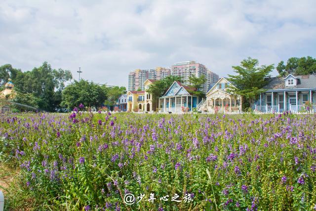 东莞有一山庄为国家4A景区，东莞有几家5a级景区