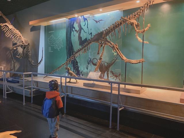 常州中华恐龙园，常州中华恐龙园游玩攻略