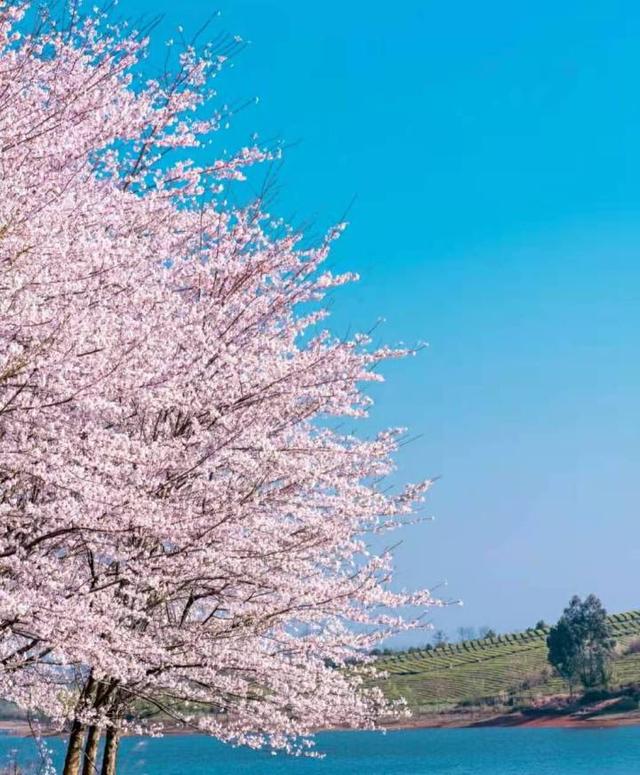 四月份去哪里旅游好，4月旅游必去十大景点