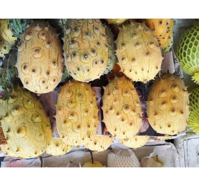 火焰参的功效与作用，火参果栽培技术