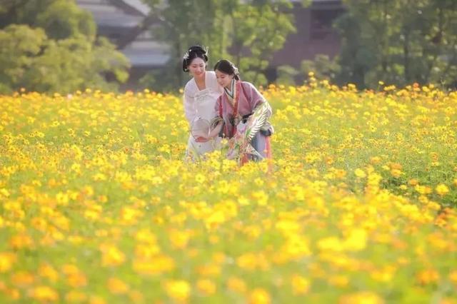 拈花湾攻略必去景点，1600亩拈花湾樱花海