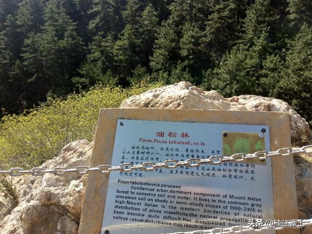 银川贺兰山苏峪口旅游景点，北方旅游值得去的6个二线旅游城市