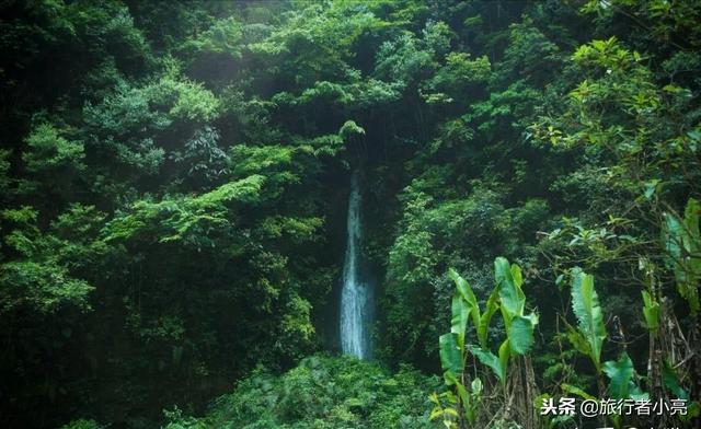 重庆旅游必去景点排名，重庆十佳旅游景点排行榜（重庆十个景点都值得一去）