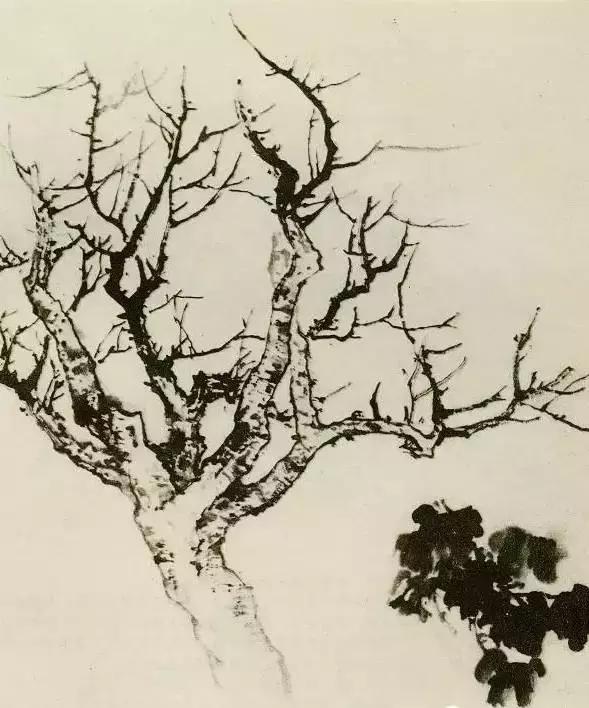树怎么画简单又好看，如何画树简单又漂亮（水彩唯美风景画，手把手教你画）