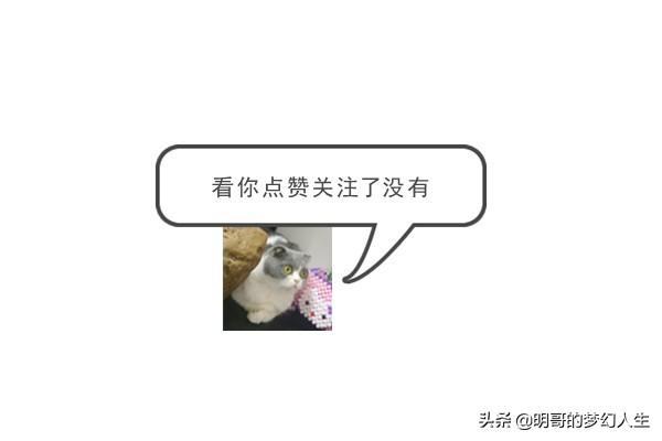 梦幻西游周日活动，梦幻西游每月周日活动是什么（你觉得周末活动被暗改了多少）
