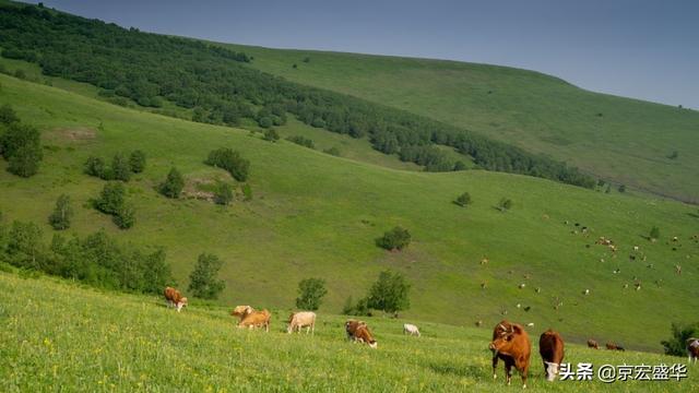 承德坝上草原全景，承德如画美景丰宁坝上草原