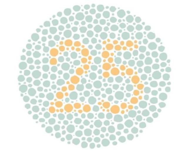 色盲测试图最新版，最新色盲色弱测试图及答案（考驾驶证、小孩升学体检必备）