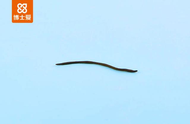 冰河世纪最厉害的松鼠，这只叫珊迪的松鼠