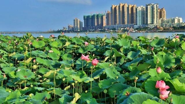 四川成都市遂宁市，成都、遂宁、甘孜3市州发布人事任免