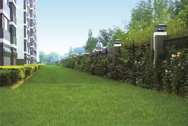 消防车道的设计要求，消防车道设计要注意哪些