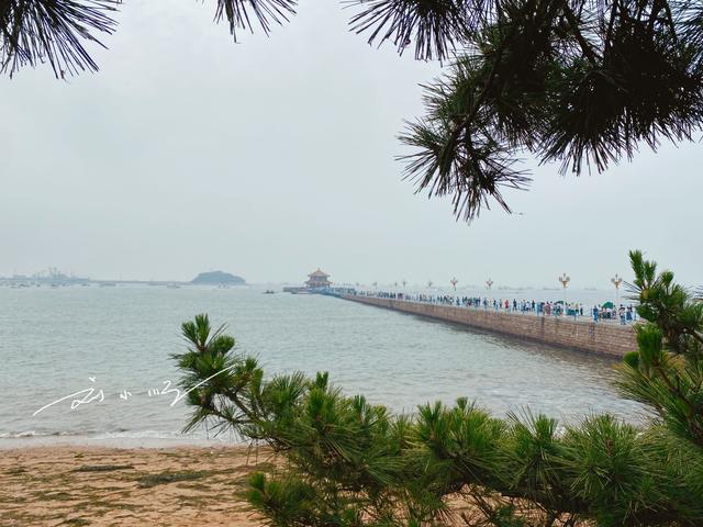 山东哪个城市好玩，山东省最值得去的城市