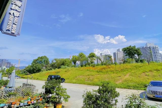 浙江30家绝美民宿，杭州千岛湖-超级治愈的乡村田园民宿-看到环境真的爱了