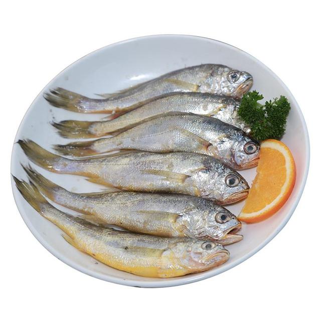 常见的海鱼120种，科普下常见海鱼品种。
