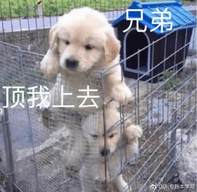 本科一批平行志愿投档线排名，平行志愿最低投档线