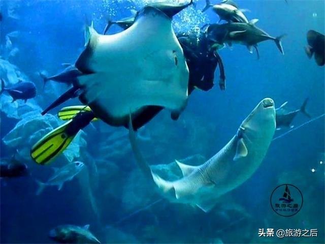 深圳小梅沙游玩时间多长，深圳小梅沙不只是海滩