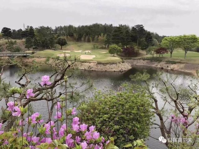 高尔夫球怎么打，怎样打高尔夫球入门（站都不对那球肯定打不好）