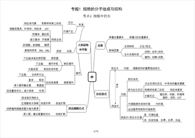 高中生物必修一思维导图，高中生物必修一全部思维导图（高中生物必修1思维导图）