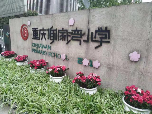 重庆谢家湾小学，重庆谢家湾小学入学要求（九龙坡三年内将增2.3万个学位）