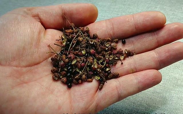 清炖鸡汤放什么材料，清炖鸡汤里面都要放什么（炖鸡汤要牢记“3放3不放”）