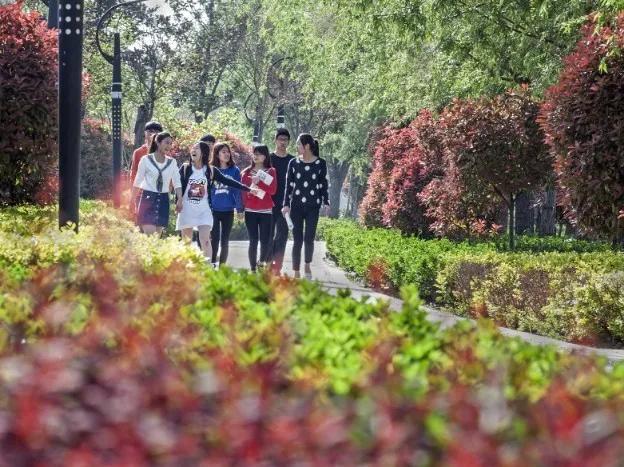 山东理工大学建筑工程学院，山东理工大学 建筑工程学院