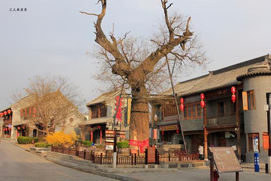古代青州是哪里，古九州之一青州市