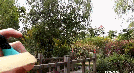 无架弹弓威力最大有多大，现代弹弓到底多厉害