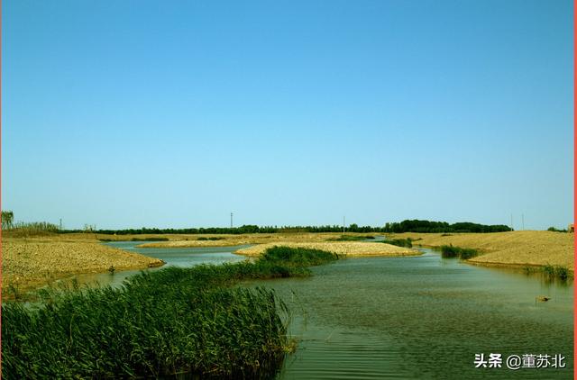 寿光市在百强县排名，百强县级市寿光市