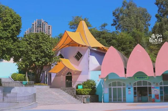 南宁附近花海景点推荐，南宁这几处花海，美了