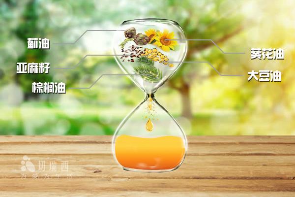 木蜡油要每年保养吗，请记住不同的木蜡油