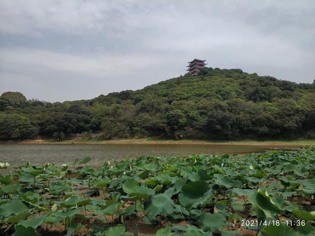 大王山森林公园，东莞大屏嶂森林公园官网