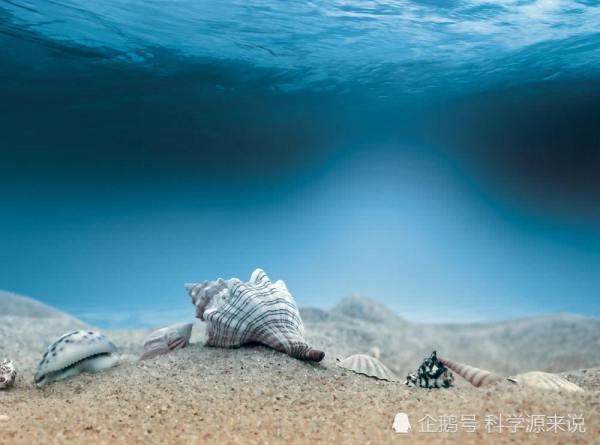 莫迪利亚尼矿泉水，史上最贵几瓶矿泉水